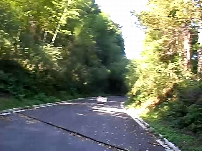 秋のぶら散歩 2