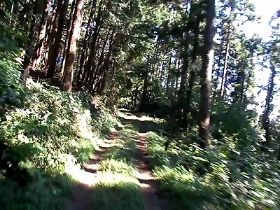 秋のぶら散歩 2