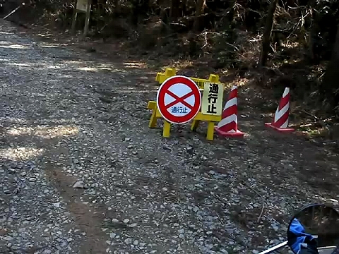 春分の日 春遠からじ