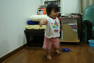 先日ポチッた物(カリタ ニューカントリー)