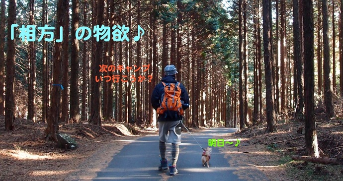 「相方」 〜ちょっと気になる〜 の巻 その2