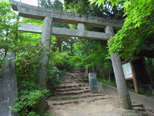 皐月の筑波山 皐月の筑波山