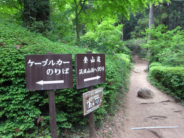 皐月の筑波山 皐月の筑波山