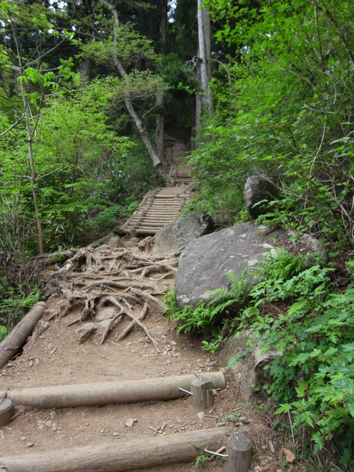 皐月の筑波山 皐月の筑波山