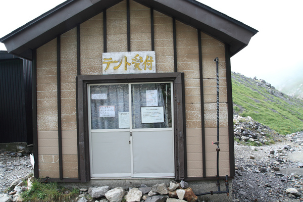 花と大雪渓の山 2日目 花と大雪渓の山 2日目