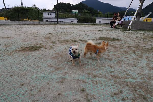 カチカチ山に行ってきました。 カチカチ山に行ってきました。