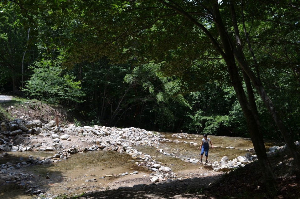 瑞牆山森の農園キャンプ場に行ってきたよ 瑞牆山森の農園キャンプ場に行ってきたよ