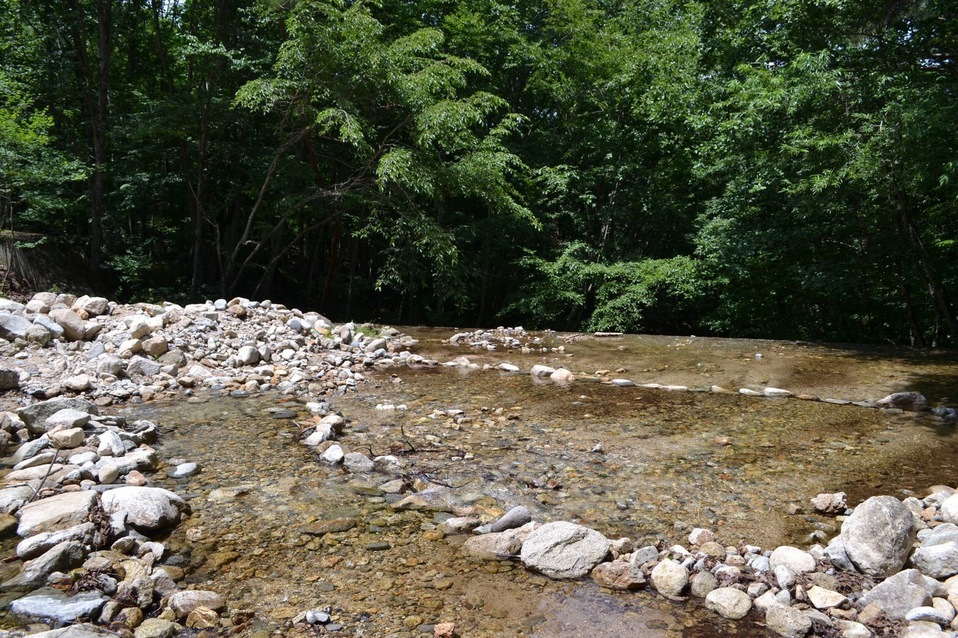 瑞牆山森の農園キャンプ場に行ってきたよ 瑞牆山森の農園キャンプ場に行ってきたよ