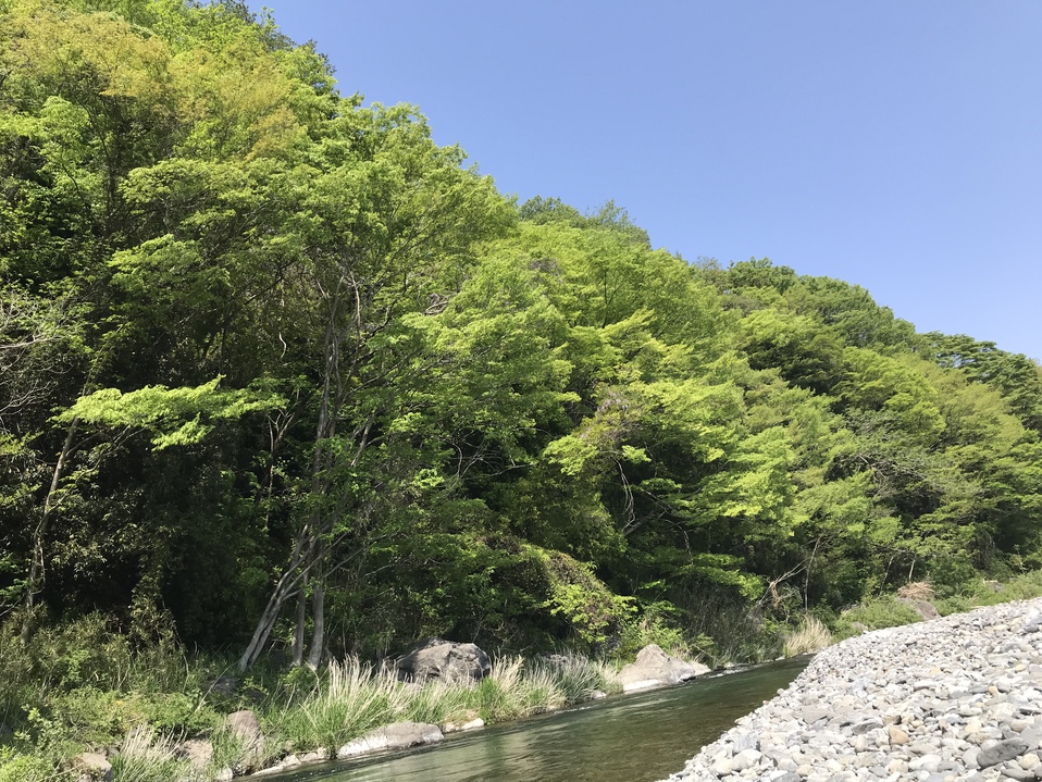 気持ちもケトルもリフレッシュ 気持ちもケトルもリフレッシュ