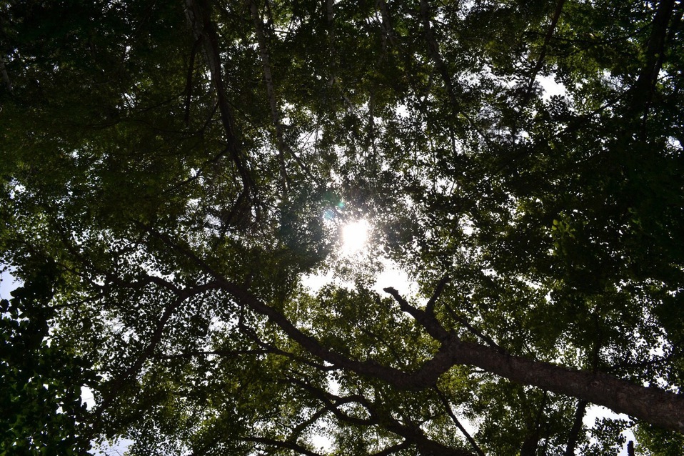 瑞牆山森の農園キャンプ場に行ってきたよ 瑞牆山森の農園キャンプ場に行ってきたよ