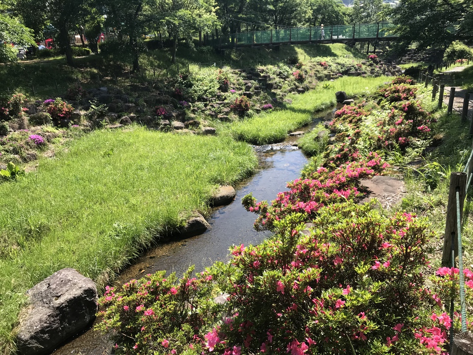 猿ヶ京 湯島オートキャンプ場 猿ヶ京 湯島オートキャンプ場