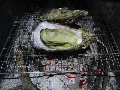 見おろし焚き火ソロキャンプ2019GW 見おろし焚き火ソロキャンプ2019GW