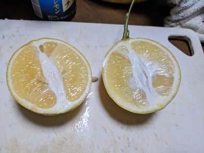 レモンさっぱり感・檸檬すっきり感 レモンさっぱり感・檸檬すっきり感