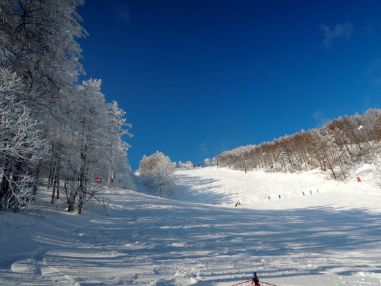 子連れでスキー 2015@菅平高原　今回は大所帯！　その２