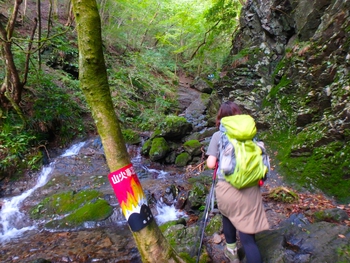 彼女はゴルジュの虜に.... 棒ノ嶺(棒ノ折山)その1 彼女はゴルジュの虜に.... 棒ノ嶺(棒ノ折山)その1
