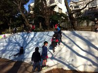 2015年1月10日　スイミングクラブ､　11日　駒沢公園