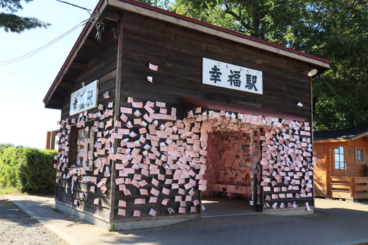 北海道でキャンプ! 北海道でキャンプ!