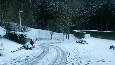 2015 キャンプ初め(雪中) 2015 キャンプ初め(雪中)
