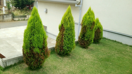 備えあれば、何とやら 備えあれば、何とやら