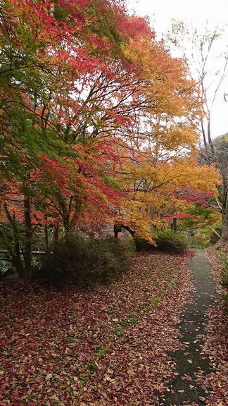 県立自然公園 八重滝 県立自然公園 八重滝