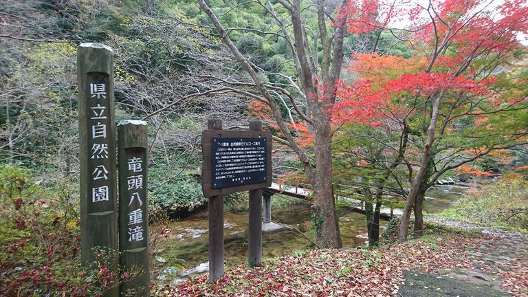 県立自然公園 八重滝 県立自然公園 八重滝
