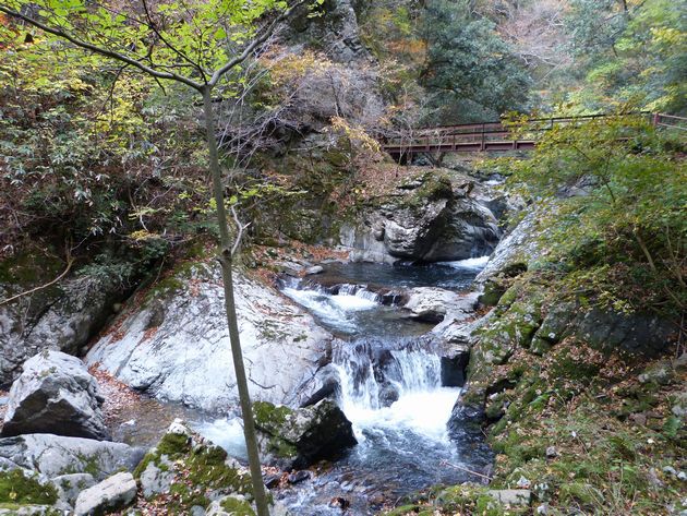 県立自然公園 八重滝 県立自然公園 八重滝