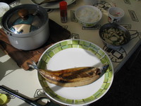 2008キャンプ総集編 前期