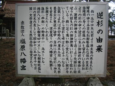 近場温泉旅行