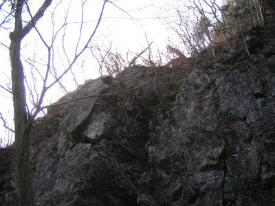 登山?