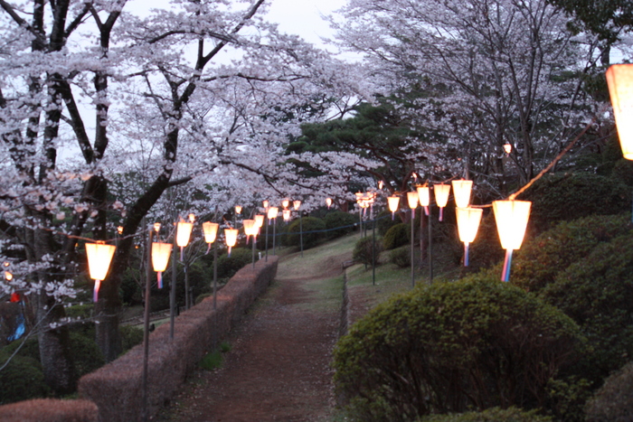 八幡山公園