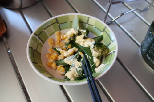 初夏?茨城キャンプ パートⅡ