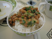 2008キャンプ総集編 前期