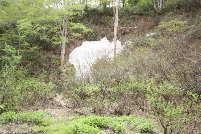 磐梯山登頂①