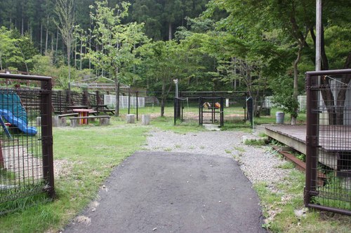 宝島deキャンプ パートⅢ
