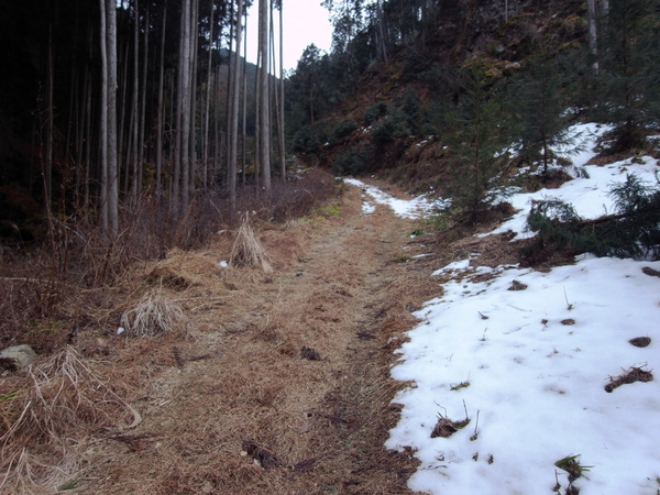 二股山 570m