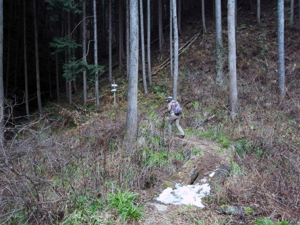 二股山 570m