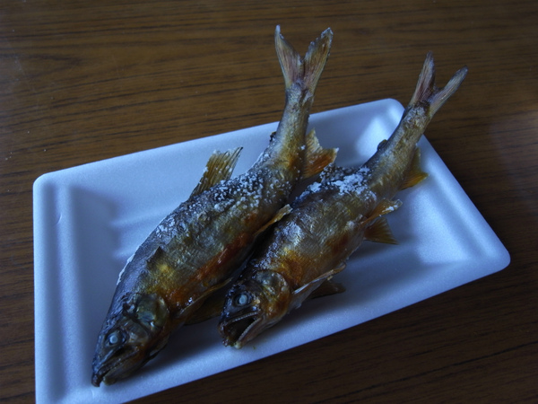 大瀬観光やな