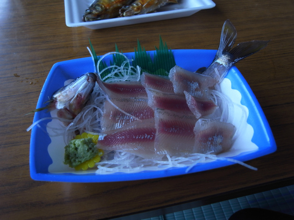 大瀬観光やな