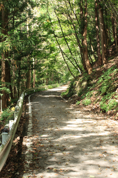 目指すは皇海山だけど‥