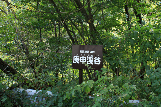 目指すは皇海山だけど‥
