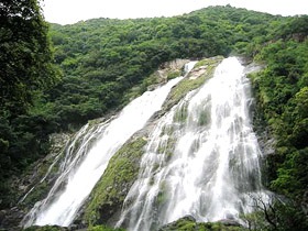 島旅☆屋久島①