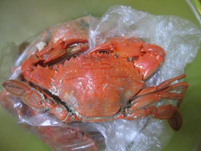 実家からの贈りもん