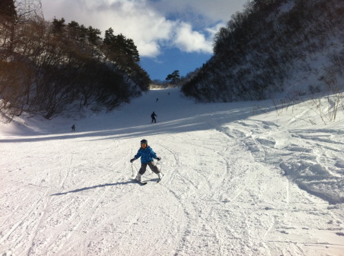 雪・雪・大雪　新潟スキー修行