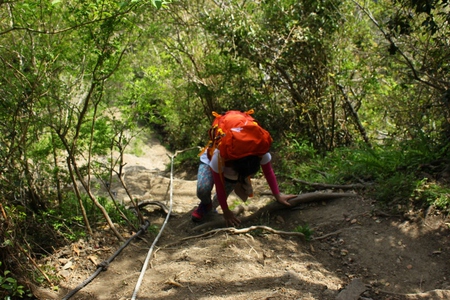 初登山・・^∀^ 初登山・・^∀^
