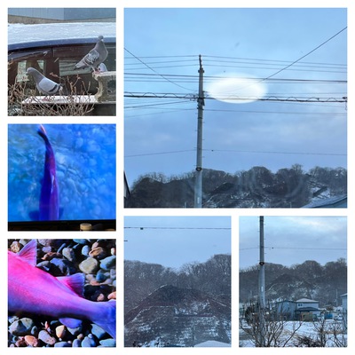 1月5日の記事 1月5日の記事