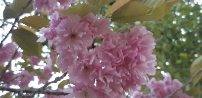 仲良し 仲良し