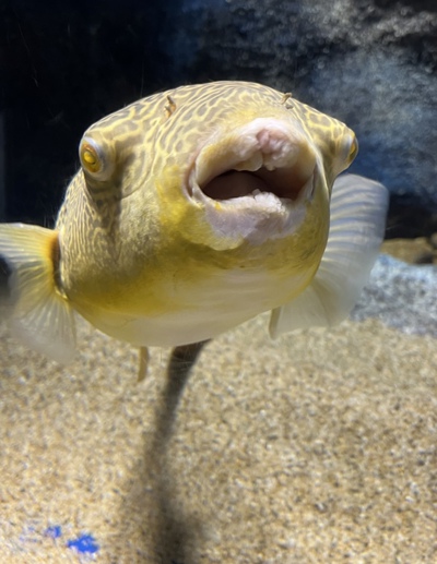 北の大地の水族館 北の大地の水族館