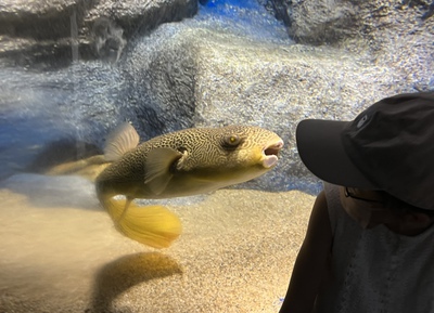 北の大地の水族館 北の大地の水族館