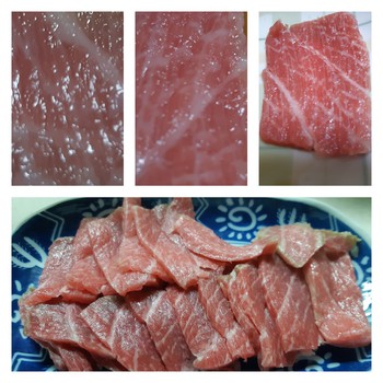 秋の味 歯歯歯歯 歯歯 秋の味 歯歯歯歯 歯歯