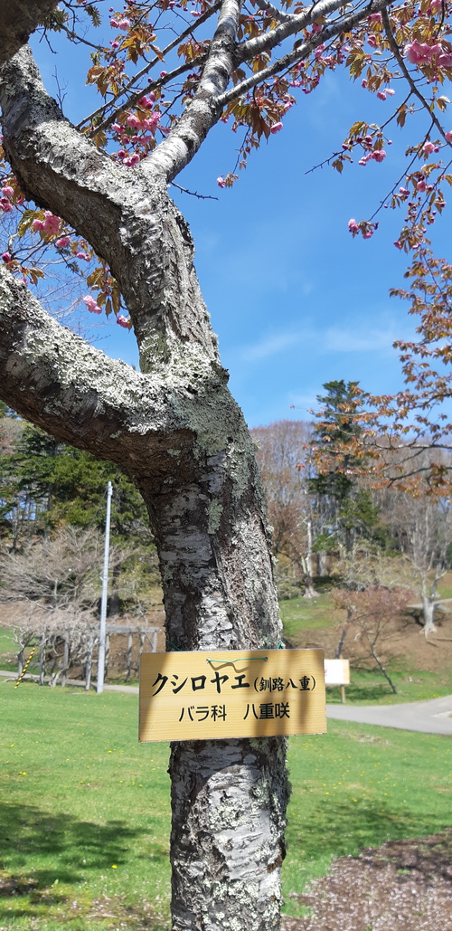 子野日公園 普賢象 子野日公園 普賢象